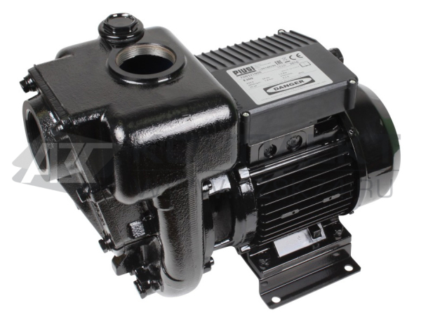 Насос Piusi E 300