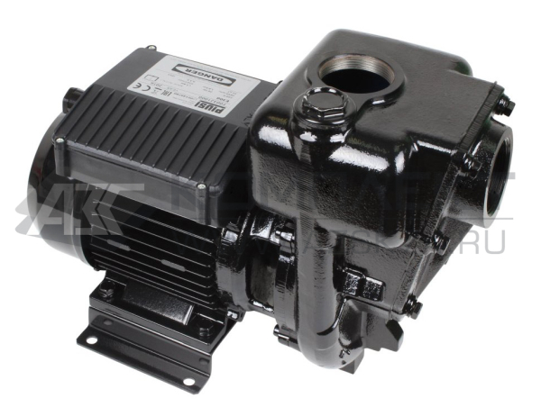 Насос Piusi E 300